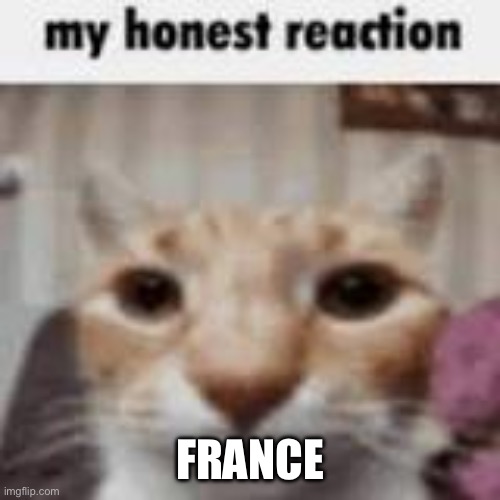 My Honest Reaction | FRANCE | image tagged in my honest reaction | made w/ Imgflip meme maker