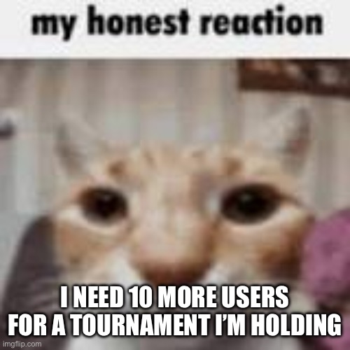 My Honest Reaction | I NEED 10 MORE USERS FOR A TOURNAMENT I’M HOLDING | image tagged in my honest reaction | made w/ Imgflip meme maker