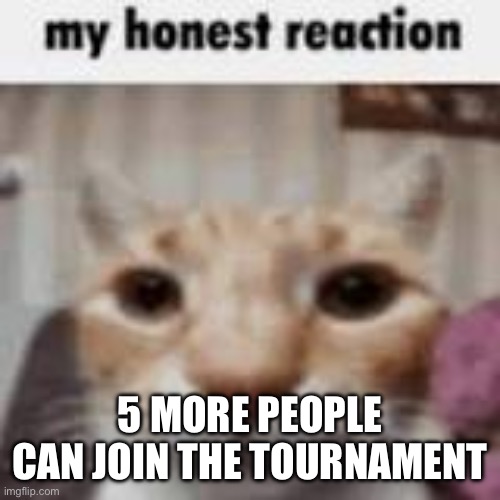 My Honest Reaction | 5 MORE PEOPLE CAN JOIN THE TOURNAMENT | image tagged in my honest reaction | made w/ Imgflip meme maker