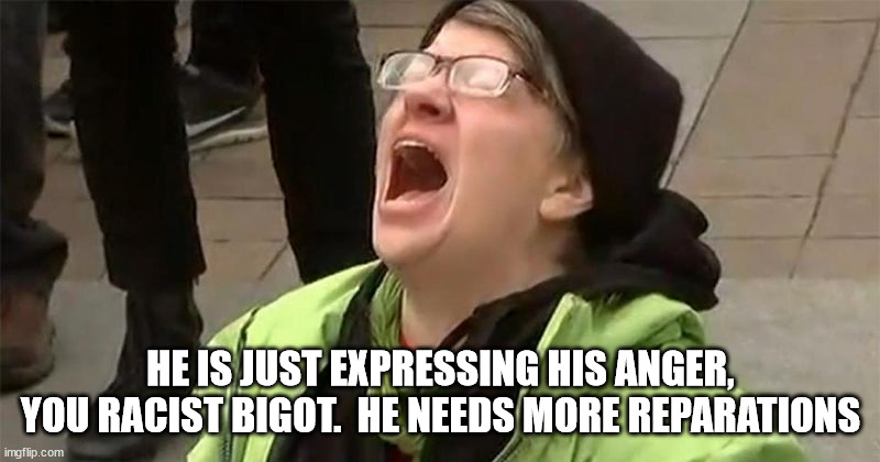 crying liberal | HE IS JUST EXPRESSING HIS ANGER, YOU RACIST BIGOT.  HE NEEDS MORE REPARATIONS | image tagged in crying liberal | made w/ Imgflip meme maker