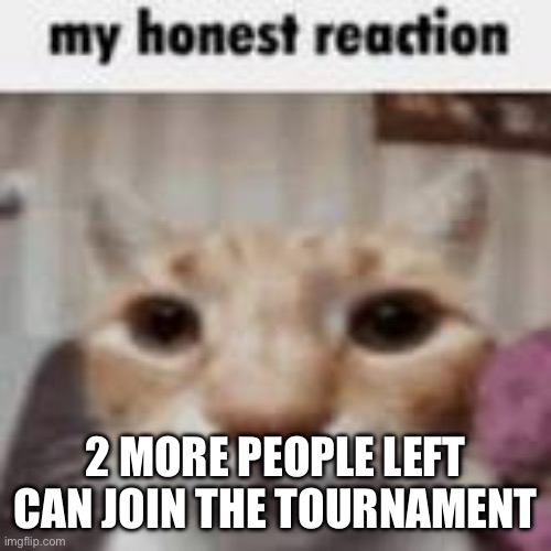 My Honest Reaction | 2 MORE PEOPLE LEFT CAN JOIN THE TOURNAMENT | image tagged in my honest reaction | made w/ Imgflip meme maker