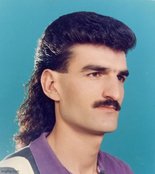 mullet  | image tagged in mullet | made w/ Imgflip meme maker