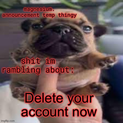 pug temp | Delete your account now | image tagged in pug temp | made w/ Imgflip meme maker