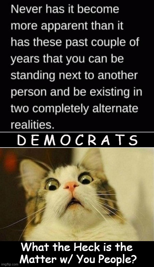 Upside Down, Inside Out...Even Cats Get It! | D E M O C R A T S; What the Heck is the 
Matter w/ You People? | image tagged in democrats,progressives,alternate reality,twilight zone,liberalism,identity crisis | made w/ Imgflip meme maker