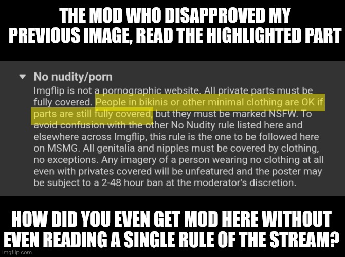 That image had no parts that arent covered. | THE MOD WHO DISAPPROVED MY PREVIOUS IMAGE, READ THE HIGHLIGHTED PART; HOW DID YOU EVEN GET MOD HERE WITHOUT EVEN READING A SINGLE RULE OF THE STREAM? | made w/ Imgflip meme maker