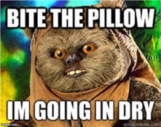 Evil Ewok | image tagged in repost | made w/ Imgflip meme maker