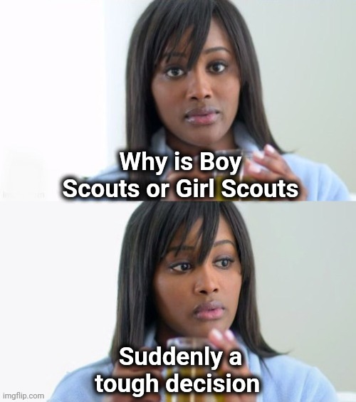 Tea Lady (reversed) | Why is Boy Scouts or Girl Scouts Suddenly a tough decision | image tagged in tea lady reversed | made w/ Imgflip meme maker