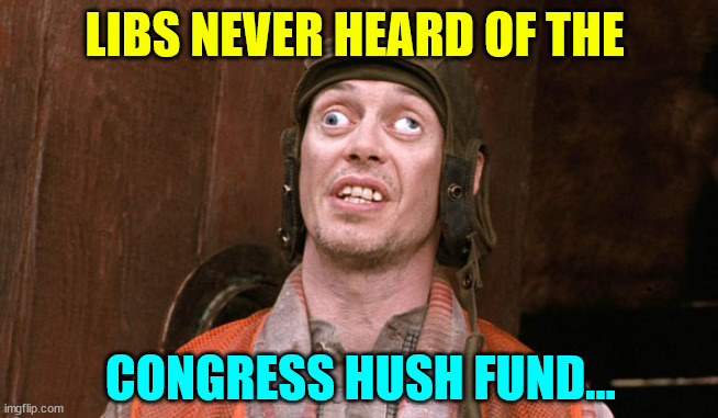 Crosseyed Steve buscemi | LIBS NEVER HEARD OF THE CONGRESS HUSH FUND... | image tagged in crosseyed steve buscemi | made w/ Imgflip meme maker