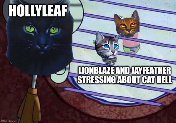 Warrior Omen of the Stars | HOLLYLEAF; LIONBLAZE AND JAYFEATHER STRESSING ABOUT CAT HELL | image tagged in squidward window | made w/ Imgflip meme maker