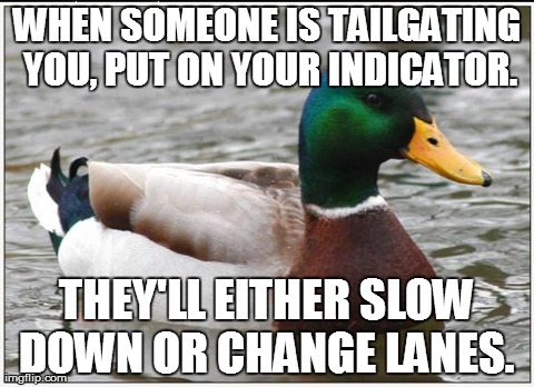 Actual Advice Mallard Meme | WHEN SOMEONE IS TAILGATING YOU, PUT ON YOUR INDICATOR. THEY'LL EITHER SLOW DOWN OR CHANGE LANES.
 | image tagged in memes,actual advice mallard,AdviceAnimals | made w/ Imgflip meme maker