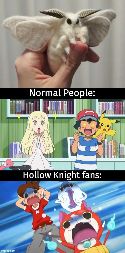 *Radiance boss theme intensifies* | Normal People:; Hollow Knight fans: | image tagged in memes,funny,moth,hollow knight | made w/ Imgflip meme maker