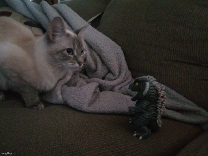 Godzilla Ultima vs Mocha | image tagged in cats | made w/ Imgflip meme maker