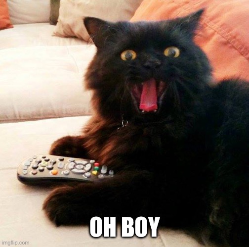 OH BOY! Cat | OH BOY | image tagged in oh boy cat | made w/ Imgflip meme maker