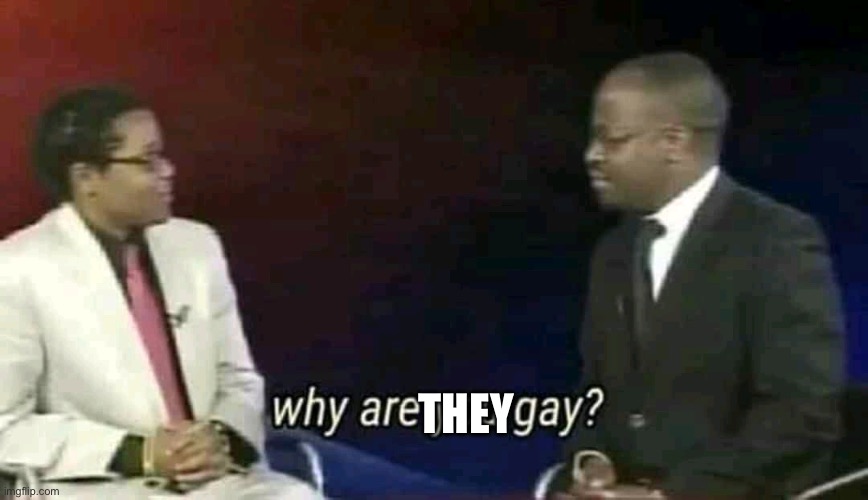 Why are you gay? | THEY | image tagged in why are you gay | made w/ Imgflip meme maker