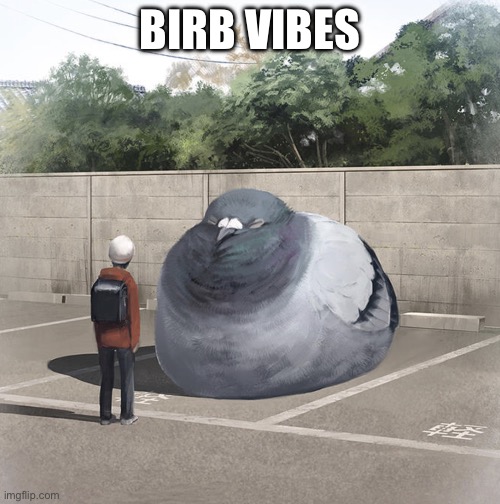 Beeg Birb | BIRB VIBES | image tagged in beeg birb | made w/ Imgflip meme maker