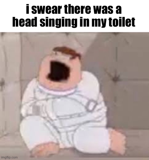 insane | i swear there was a head singing in my toilet | image tagged in peter griffin insane asylum | made w/ Imgflip meme maker