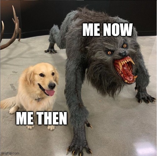 The iPad kids changed me a lot | ME NOW; ME THEN | image tagged in dog vs werewolf,ipad kids,gen alpha | made w/ Imgflip meme maker
