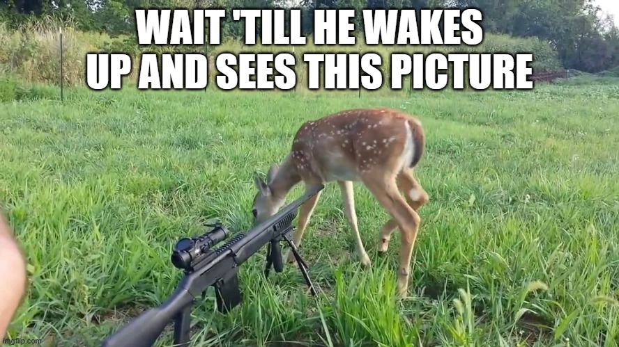 memes by Brad - sleeping hunter humor | WAIT 'TILL HE WAKES UP AND SEES THIS PICTURE | image tagged in funny,sports,hunting,funny meme,humor,deer | made w/ Imgflip meme maker