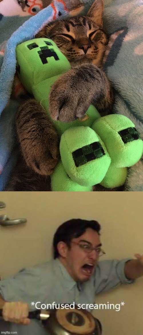 How?? | image tagged in cat hugging creeper,confused screaming | made w/ Imgflip meme maker
