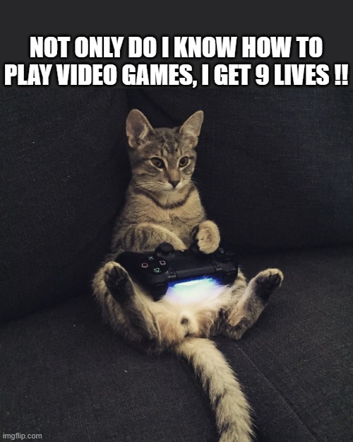 memes by Brad - cat playing computer games | NOT ONLY DO I KNOW HOW TO PLAY VIDEO GAMES, I GET 9 LIVES !! | image tagged in funny,cats,computer games,funny cat memes,pc gaming,video games | made w/ Imgflip meme maker