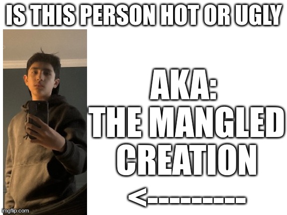 VOTE IN COMMENTS | AKA: 
THE MANGLED CREATION
<---------; IS THIS PERSON HOT OR UGLY | image tagged in blank white template | made w/ Imgflip meme maker