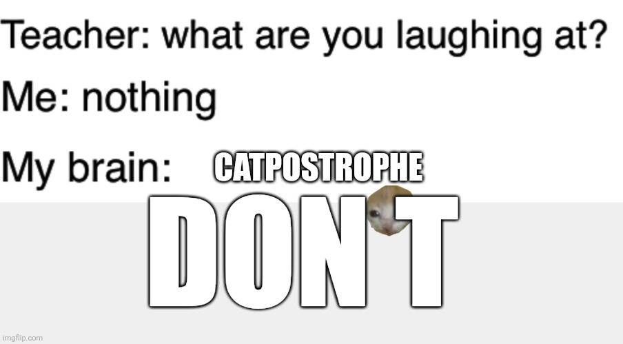 Catpostrophe | CATPOSTROPHE; DON T | image tagged in teacher what are you laughing at,cat | made w/ Imgflip meme maker