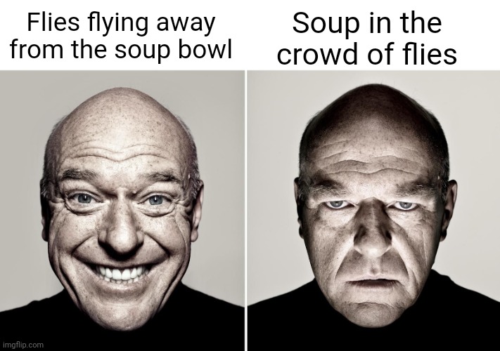 Fly soup | Soup in the crowd of flies; Flies flying away from the soup bowl | image tagged in dean norris's reaction,fly,soup,memes,blank white template,breaking bad smile frown | made w/ Imgflip meme maker