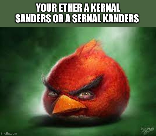 KFC | YOUR ETHER A KERNAL SANDERS OR A SERNAL KANDERS | image tagged in realistic red angry birds,stupid,funny | made w/ Imgflip meme maker