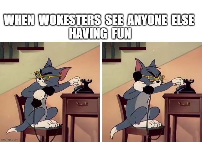 tom and jerry snitch | WHEN  WOKESTERS  SEE  ANYONE  ELSE 
HAVING  FUN | image tagged in tom and jerry snitch | made w/ Imgflip meme maker