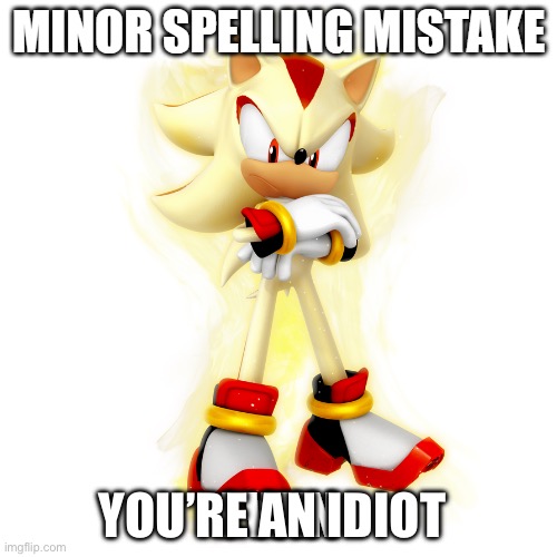 Minor Spelling Mistake HD | YOU’RE AN IDIOT | image tagged in minor spelling mistake hd | made w/ Imgflip meme maker