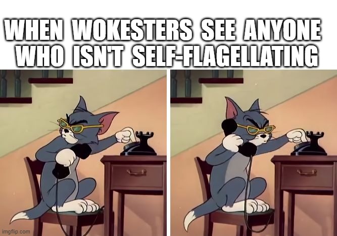 tom and jerry snitch | WHEN  WOKESTERS  SEE  ANYONE  
WHO  ISN'T  SELF-FLAGELLATING | image tagged in tom and jerry snitch | made w/ Imgflip meme maker