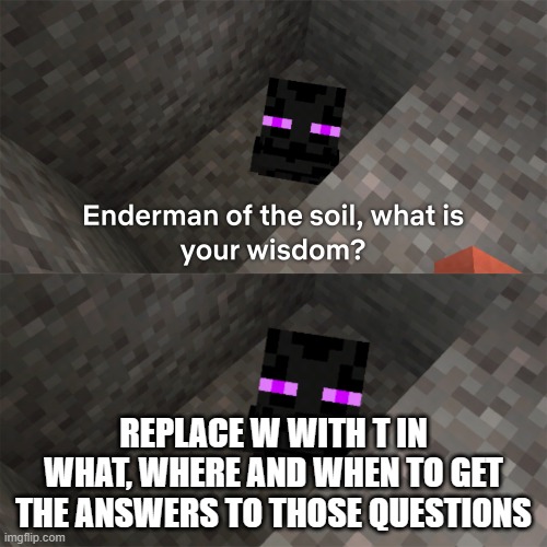 Enderman of the soil | REPLACE W WITH T IN WHAT, WHERE AND WHEN TO GET THE ANSWERS TO THOSE QUESTIONS | image tagged in enderman of the soil | made w/ Imgflip meme maker