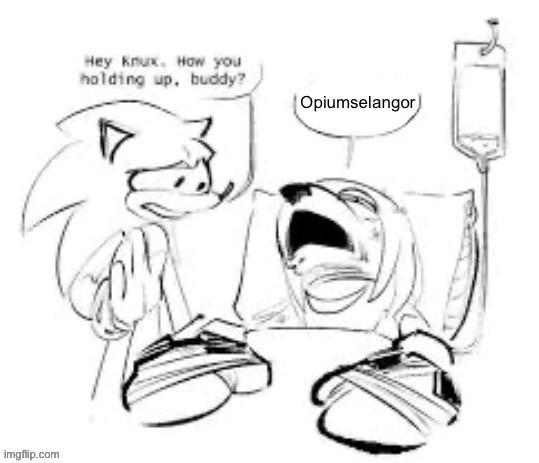 knuckles in the hospital | Opiumselangor | image tagged in knuckles in the hospital | made w/ Imgflip meme maker