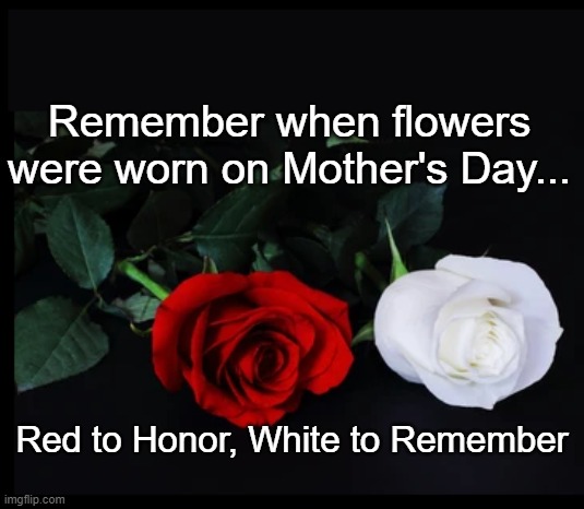 Remember when flowers were worn on Mother's Day... Red to Honor, White to Remember | image tagged in mothers day,flowers | made w/ Imgflip meme maker
