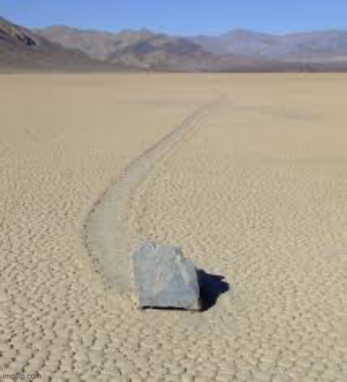 The pioneers used to ride these babies for miles | made w/ Imgflip meme maker