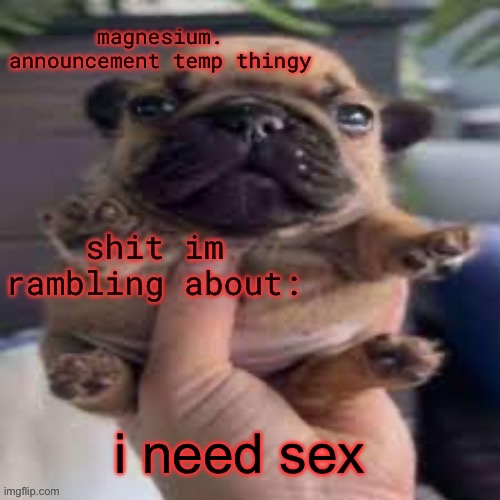 pug temp | i need sex | image tagged in pug temp | made w/ Imgflip meme maker