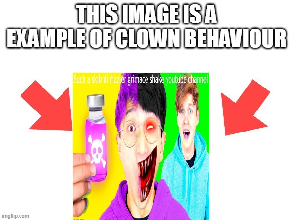 This image is a example of clown behaviour | image tagged in this image is a example of clown behaviour | made w/ Imgflip meme maker