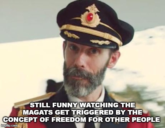 STILL FUNNY WATCHING THE MAGATS GET TRIGGERED BY THE CONCEPT OF FREEDOM FOR OTHER PEOPLE | image tagged in captain obvious | made w/ Imgflip meme maker
