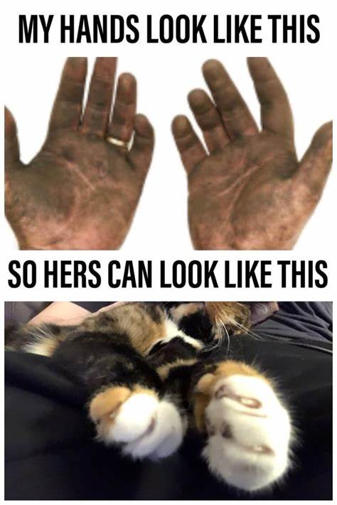 High Quality My hands look like this so hers can look like this Blank Meme Template