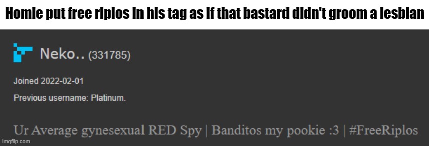 almost as bad as wilbur soot supporters. I said almost. | Homie put free riplos in his tag as if that bastard didn't groom a lesbian | made w/ Imgflip meme maker