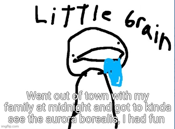 Buh | Went out of town with my family at midnight and got to kinda see the aurora borealis, I had fun | image tagged in little brain | made w/ Imgflip meme maker