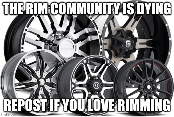 THE RIM COMMUNITY IS DYING REPOST IF YOU LOVE RIMMING | made w/ Imgflip meme maker