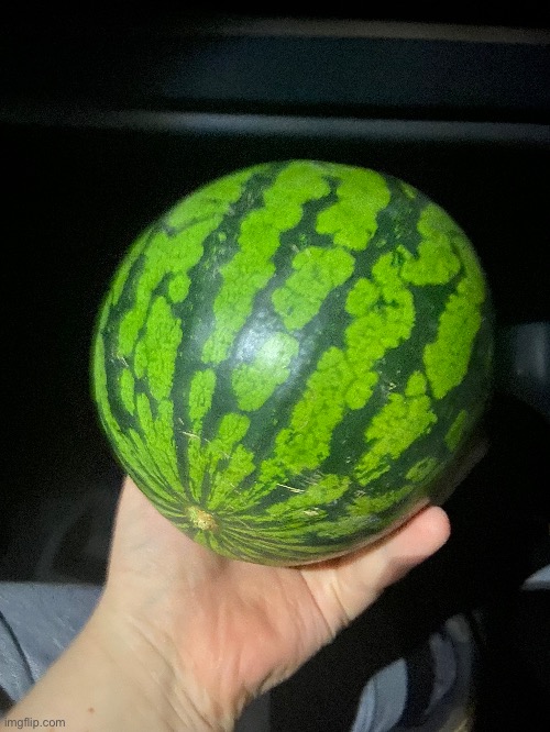 If I use a watermelon in self defense is it legal? | made w/ Imgflip meme maker