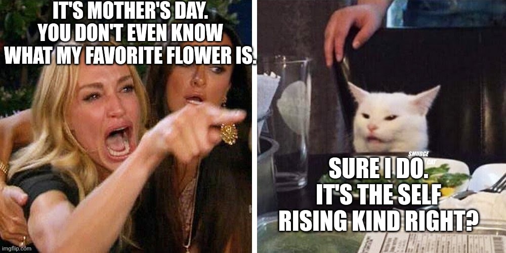 Smudge that darn cat with Karen | IT'S MOTHER'S DAY. YOU DON'T EVEN KNOW WHAT MY FAVORITE FLOWER IS. SURE I DO. IT'S THE SELF RISING KIND RIGHT? | image tagged in smudge that darn cat with karen | made w/ Imgflip meme maker