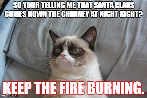 Grumpy Cat Bed | SO YOUR TELLING ME THAT SANTA CLAUS COMES DOWN THE CHIMNEY AT NIGHT RIGHT?  KEEP THE FIRE BURNING. | image tagged in memes,grumpy cat | made w/ Imgflip meme maker