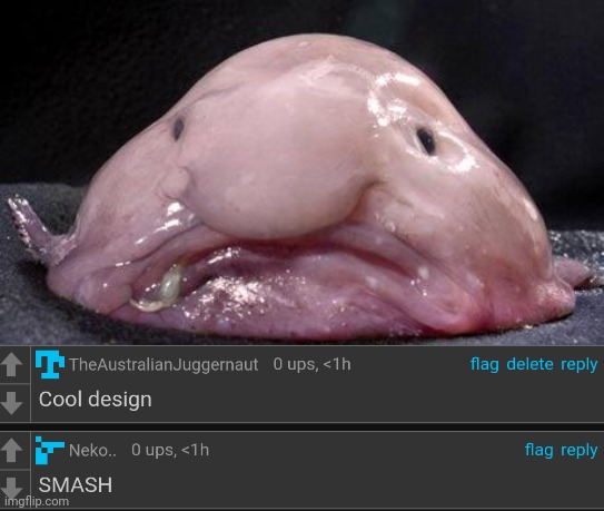 Made the screenshot a temp btw | image tagged in blobfish | made w/ Imgflip meme maker