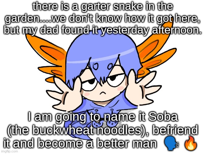 snakey snakkeee | there is a garter snake in the garden....we don't know how it got here, but my dad found it yesterday afternoon. I am going to name it Soba (the buckwheat noodles), befriend it and become a better man  🗣 🔥 | image tagged in ichigo i want up | made w/ Imgflip meme maker