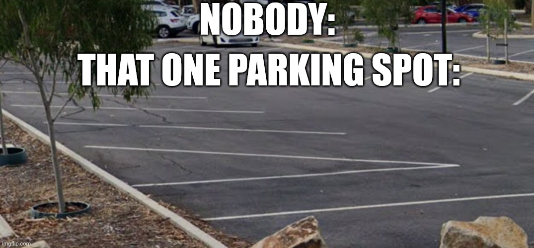 Which idiot designed this parking lot? | NOBODY:; THAT ONE PARKING SPOT: | image tagged in triangular parking spot | made w/ Imgflip meme maker