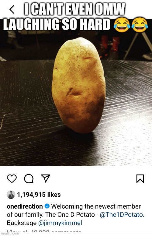 The 1D potato | I CAN'T EVEN OMW 
LAUGHING SO HARD 😂😂 | image tagged in funny | made w/ Imgflip meme maker
