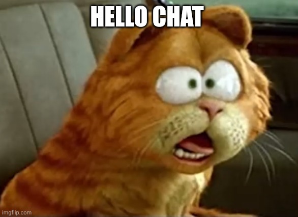 Hello chat | HELLO CHAT | image tagged in shockedfield | made w/ Imgflip meme maker